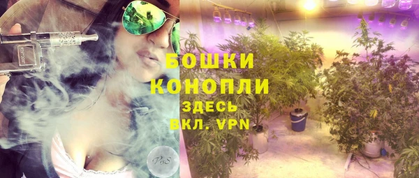 крисы Абаза