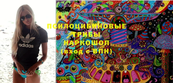 крисы Абаза