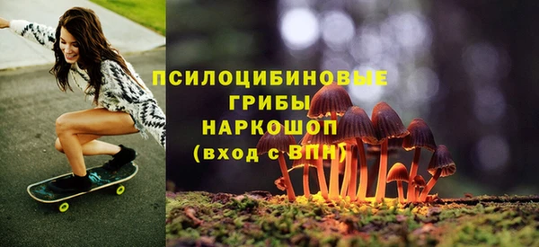 дурь Алексин