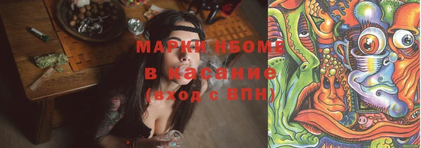 крисы Абаза