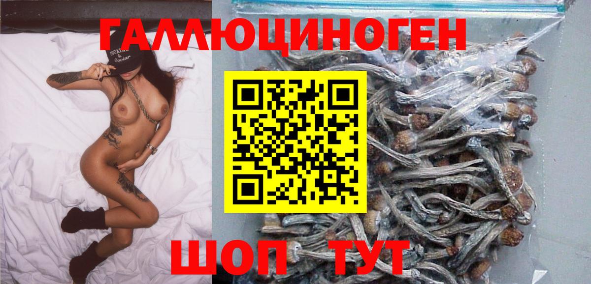 Галлюциногенные грибы Cubensis Абакан