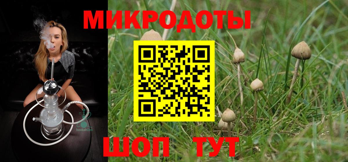 Галлюциногенные грибы Psilocybe  Вход с VPN  Абакан 
